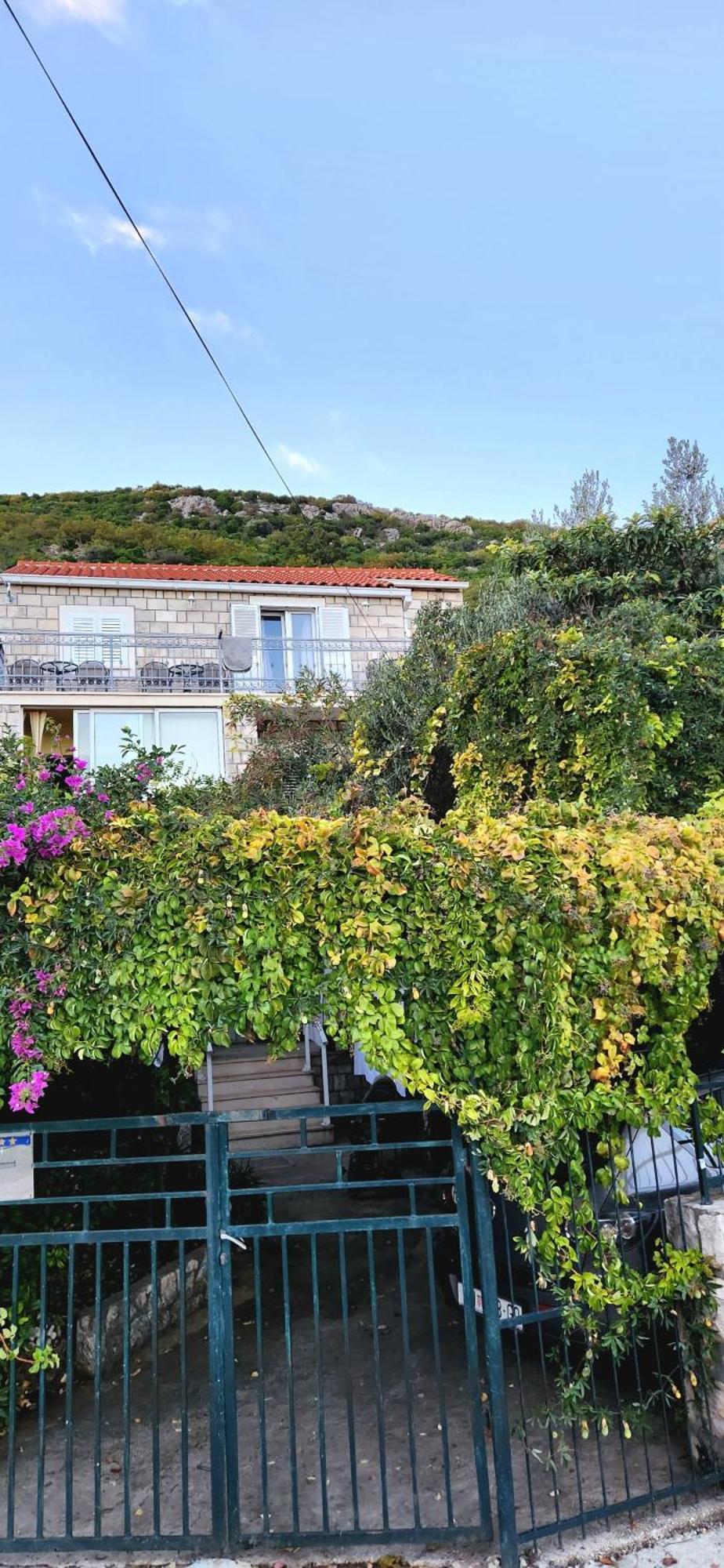Tranquility And Nature In 4 Bedroom With Sea View Mokošica المظهر الخارجي الصورة